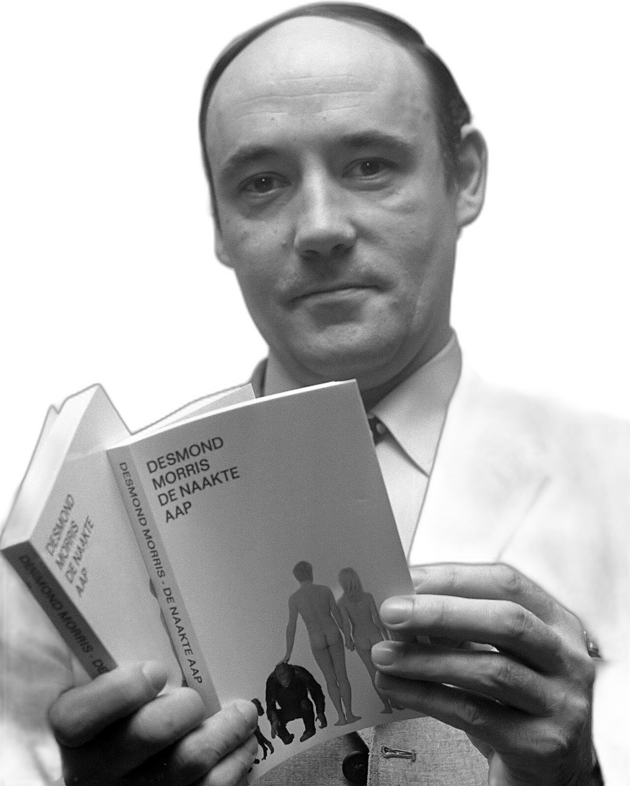Desmond Morris. Zoologun dürbünü tribüne döndü: forma totem, atkı kabile işareti.